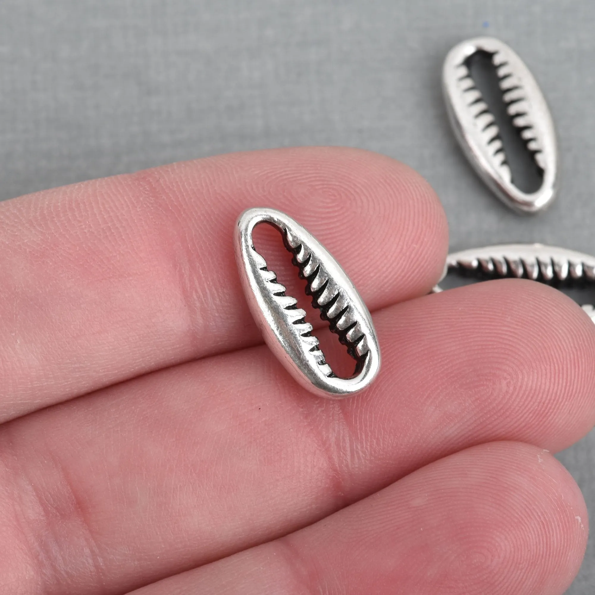 5 Silver SEASHELL Charms Cowrie Shell Coffee Bean Shells 19x9mm chs4049