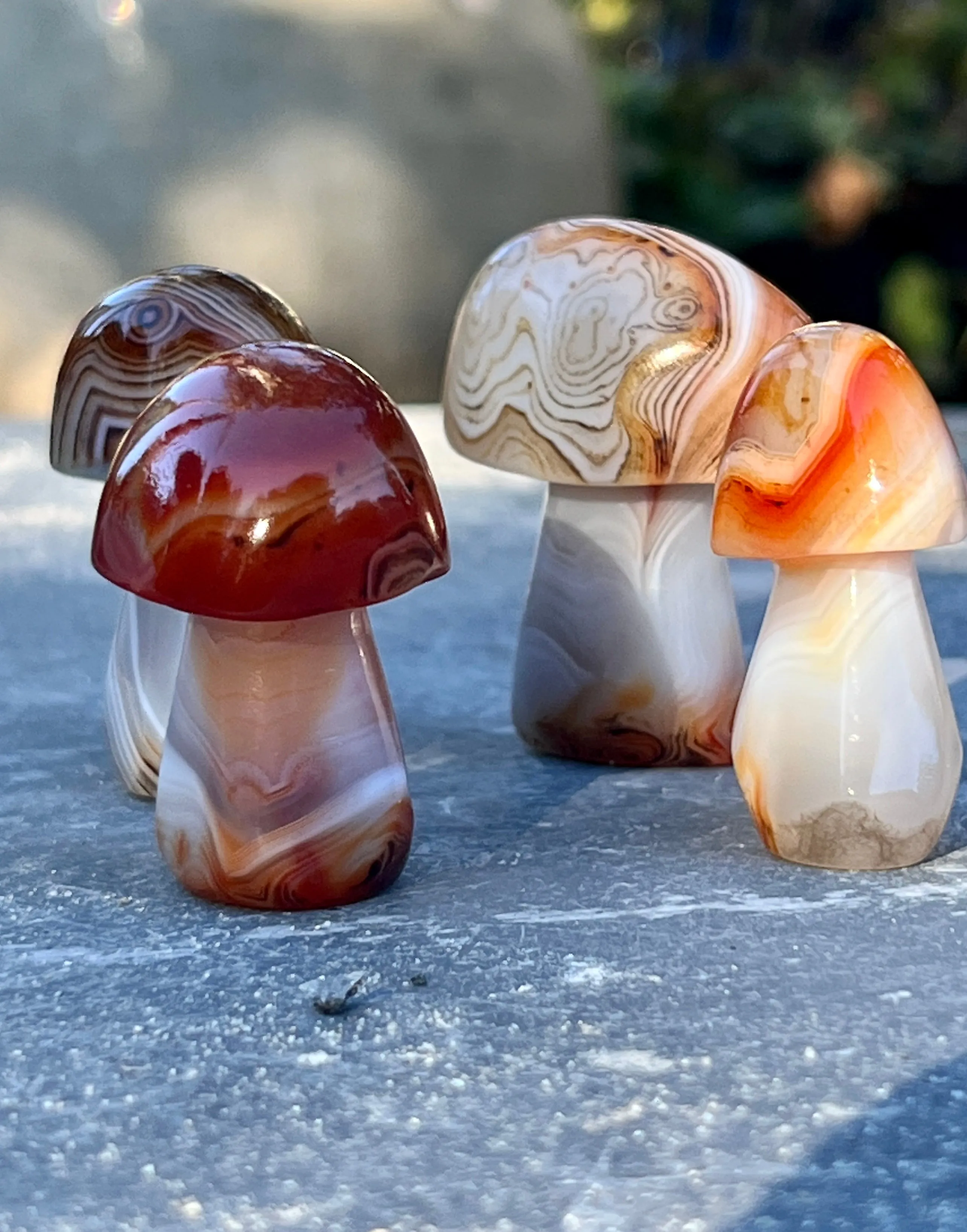 Banded Carnelian Mushroom Stone