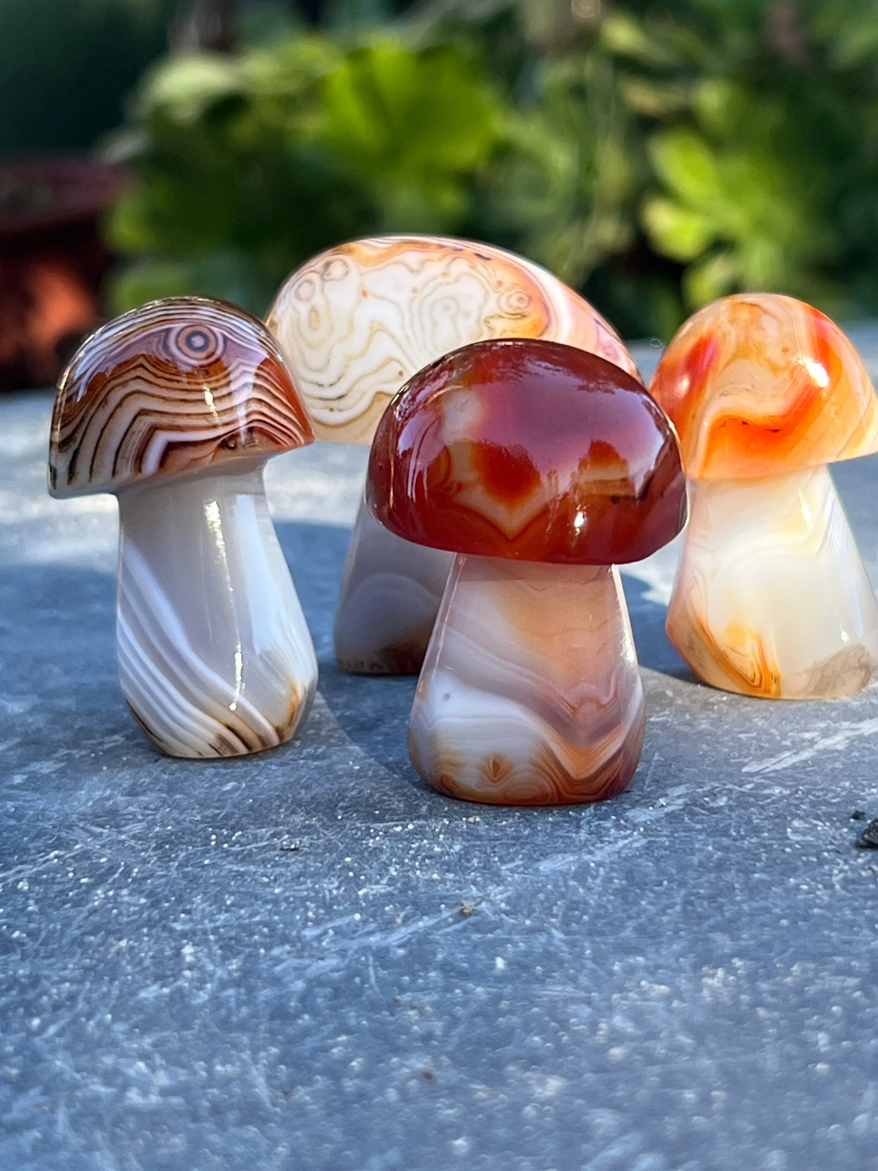 Banded Carnelian Mushroom Stone