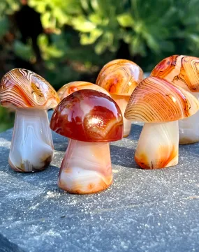 Banded Carnelian Mushroom Stone