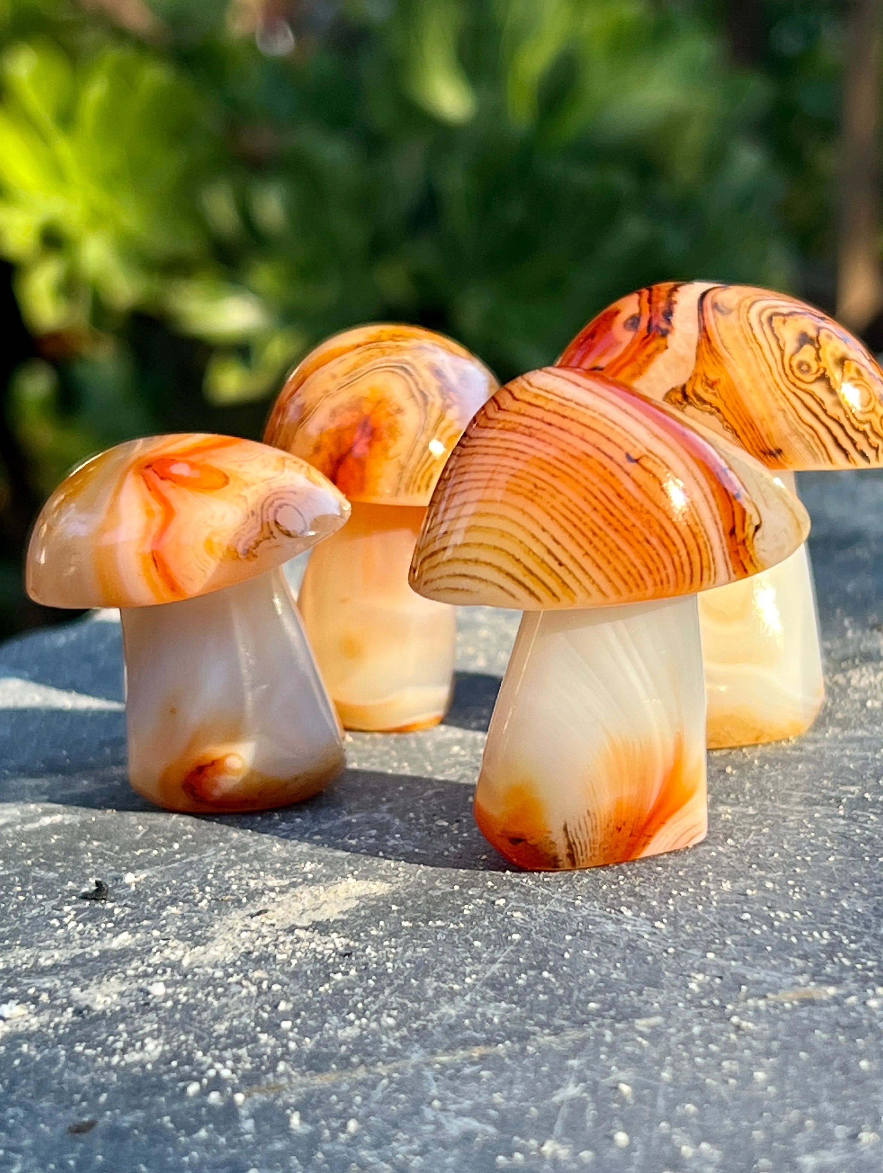 Banded Carnelian Mushroom Stone