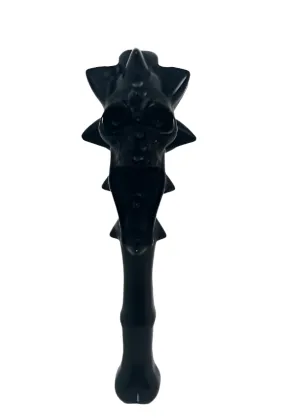 Black Obsidian Crystal Crystal Skull and Bone Carving