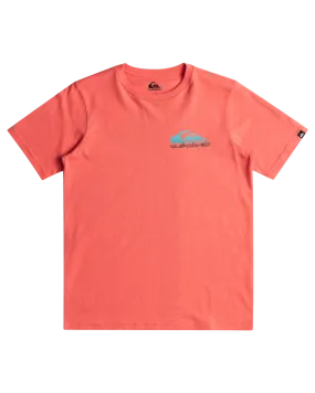 Boys Omni Wave T-Shirt in Spiced Coral