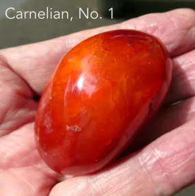 Carnelian Freeform Polished Gallet