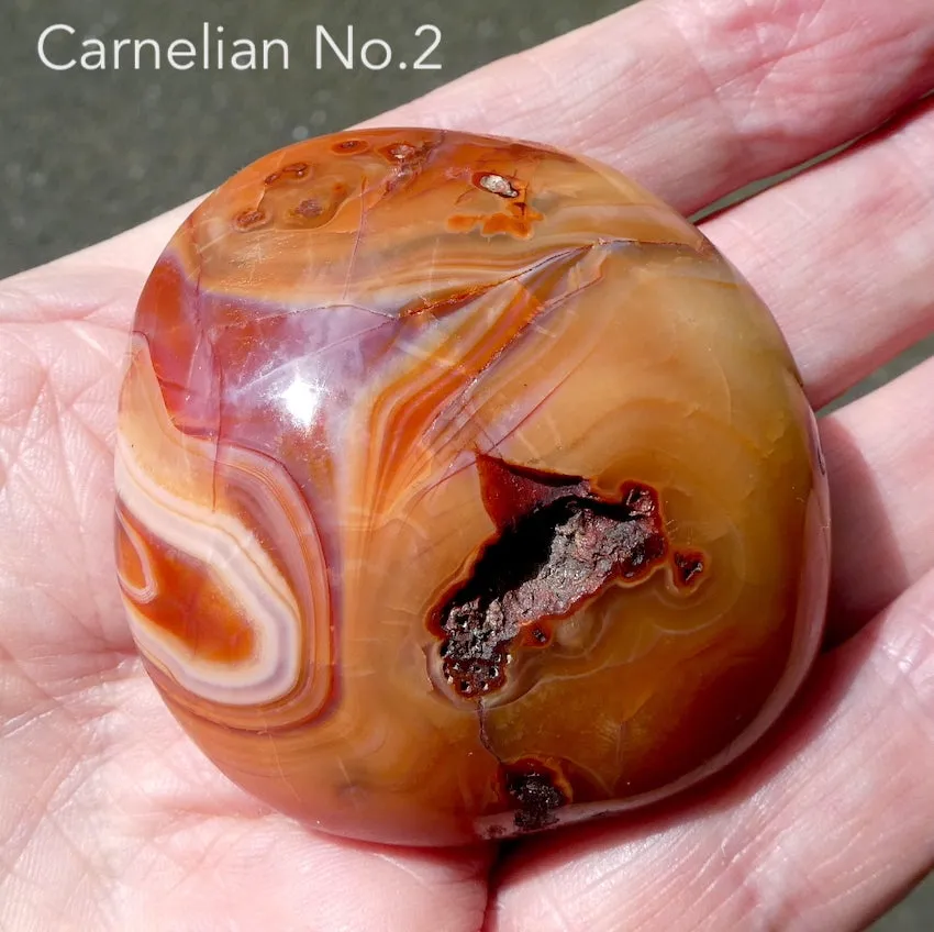 Carnelian Freeform Polished Gallet