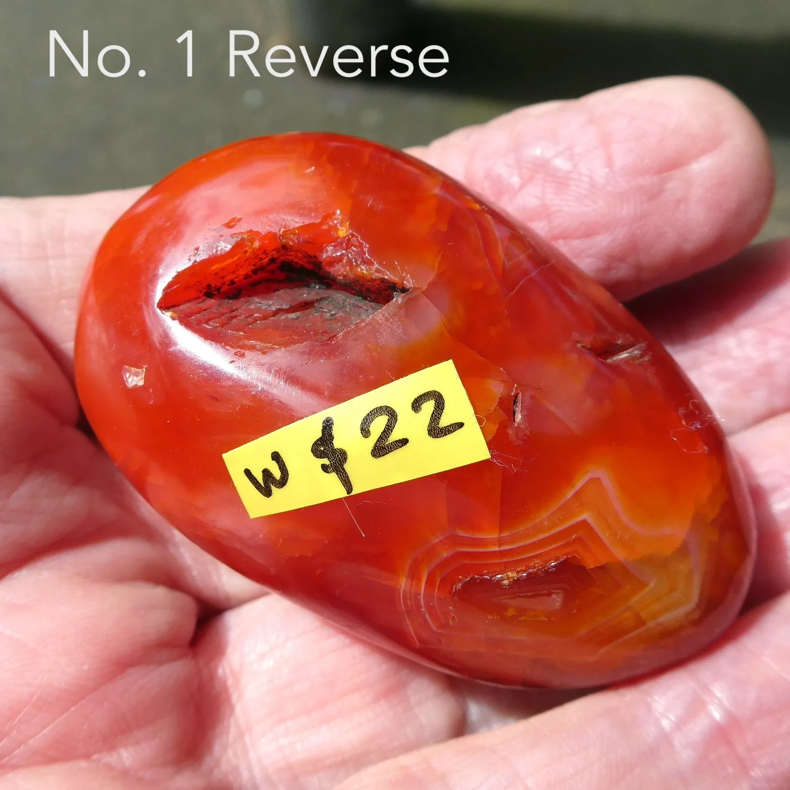 Carnelian Freeform Polished Gallet