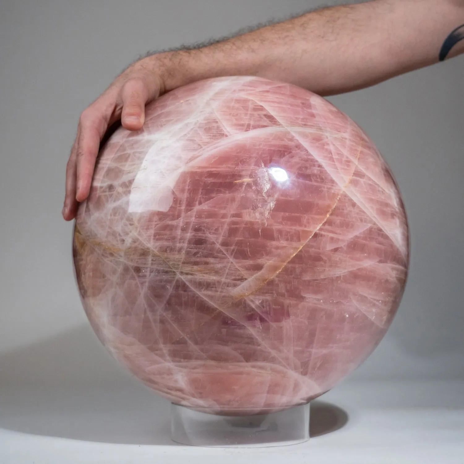 Massive Genuine Polished Rose Quartz Sphere (13" Diameter, 153 lbs)