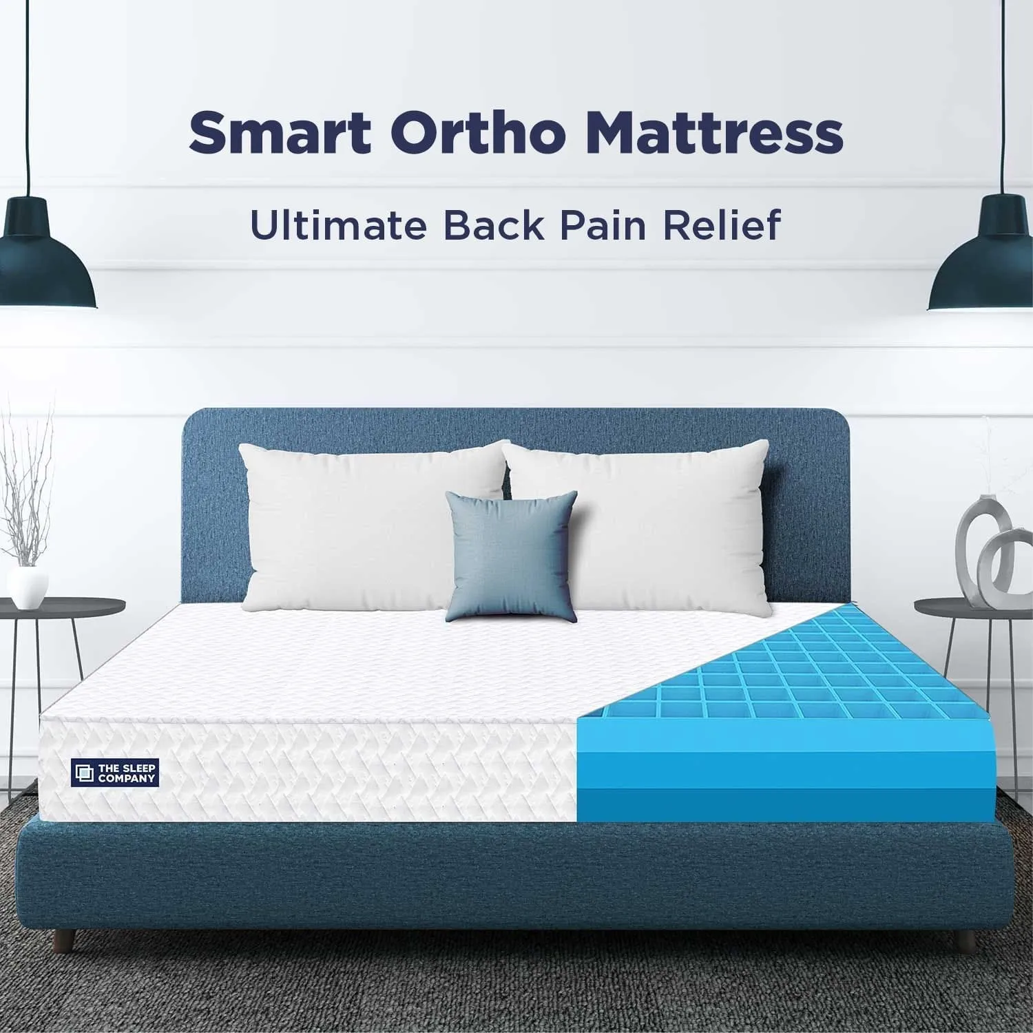 Ortho Bundle