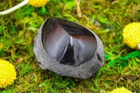 Rainbow Obsidian Freeform 3" x 2.5" x 2.5"