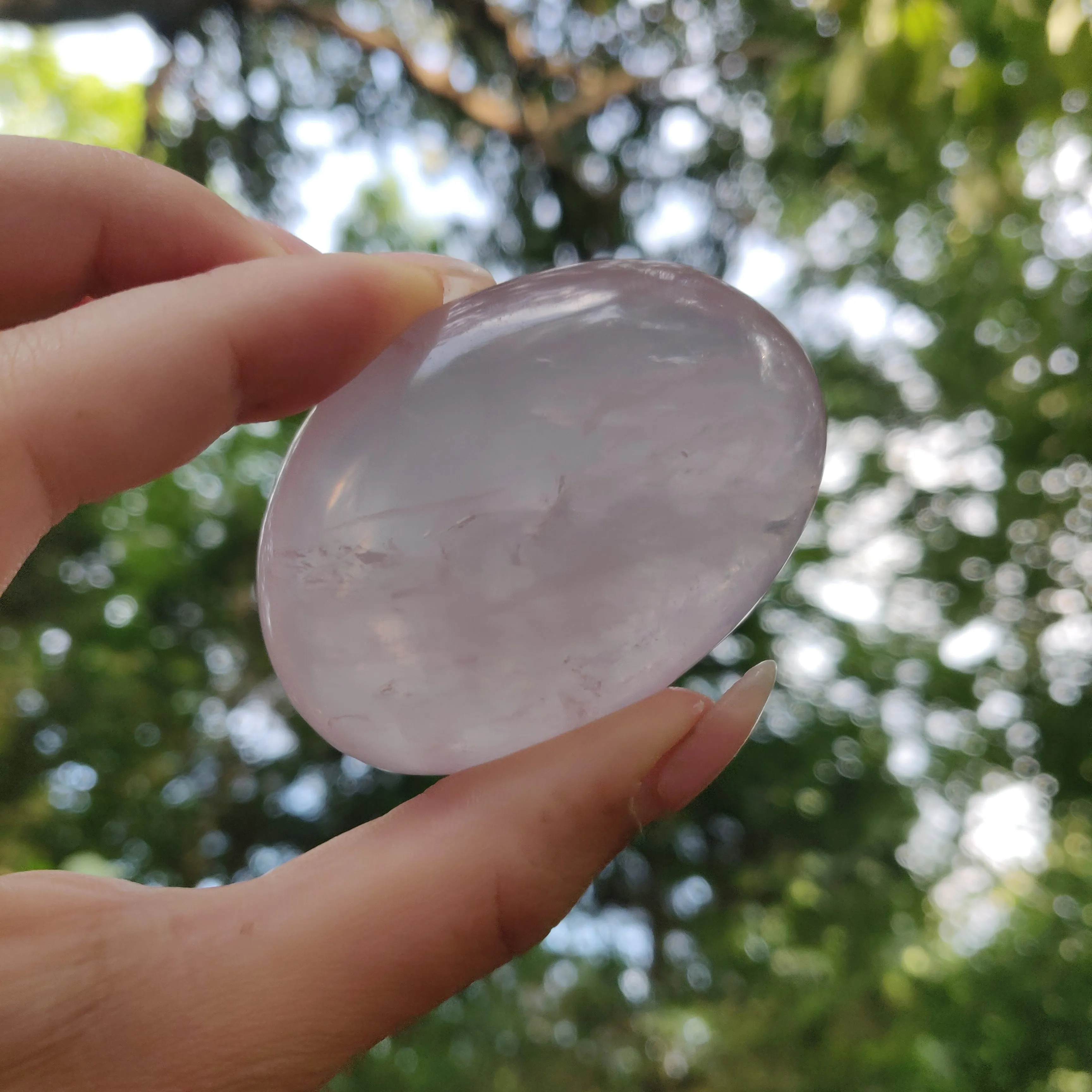 Rose Quartz Palm Stone, Star Rose Quartz (#3)