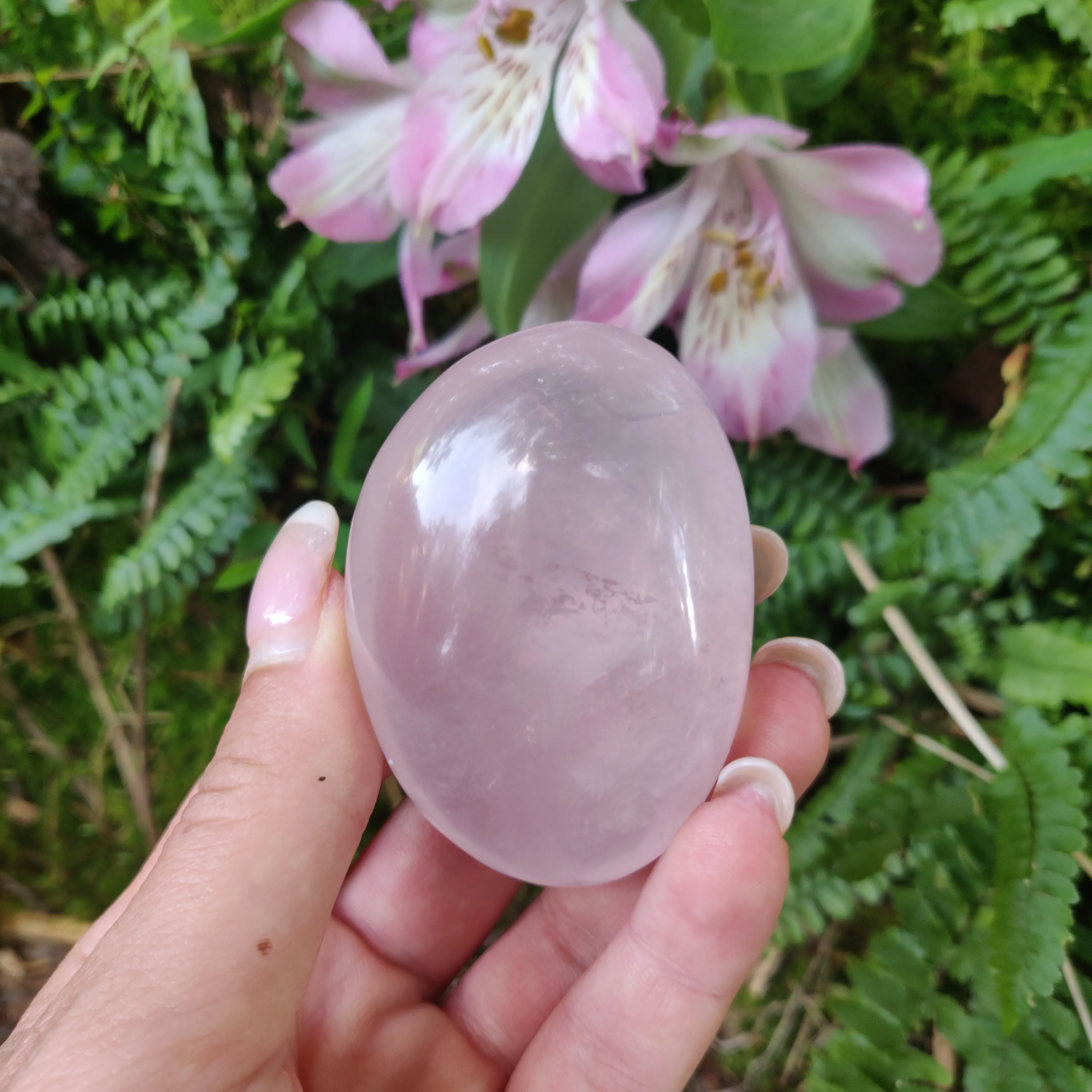Rose Quartz Palm Stone, Star Rose Quartz (#3)