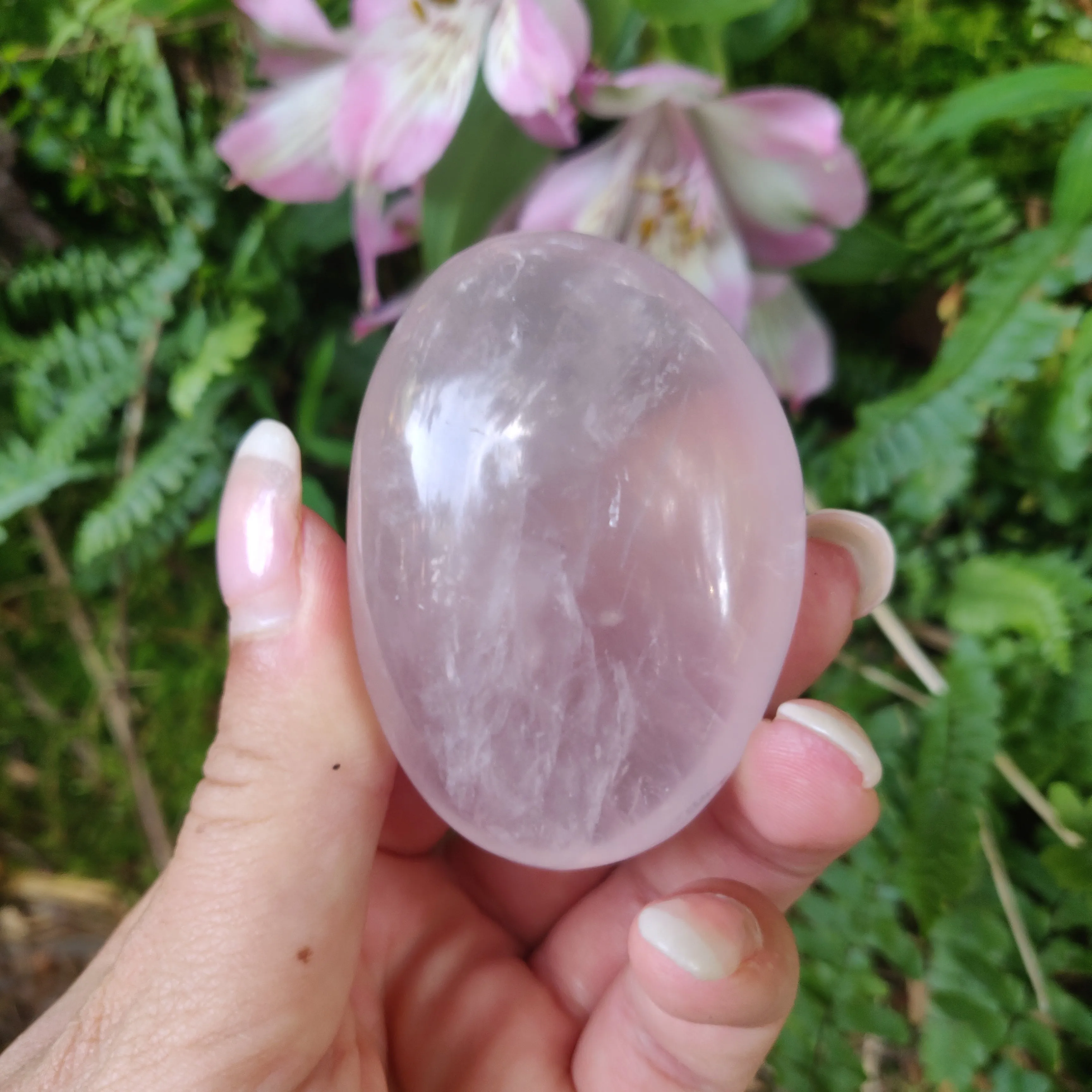Rose Quartz Palm Stone, Star Rose Quartz (#3)