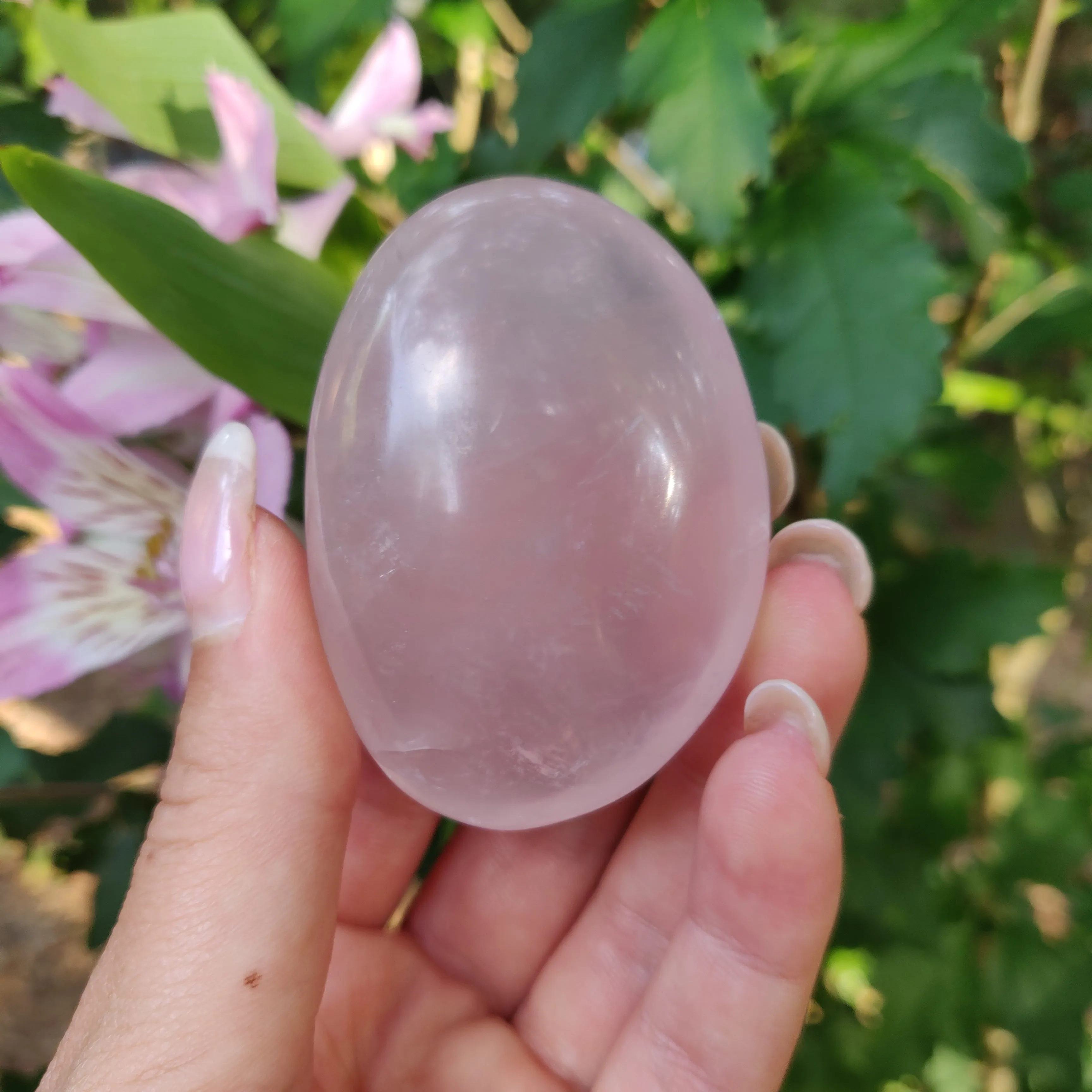Rose Quartz Palm Stone, Star Rose Quartz (#3)