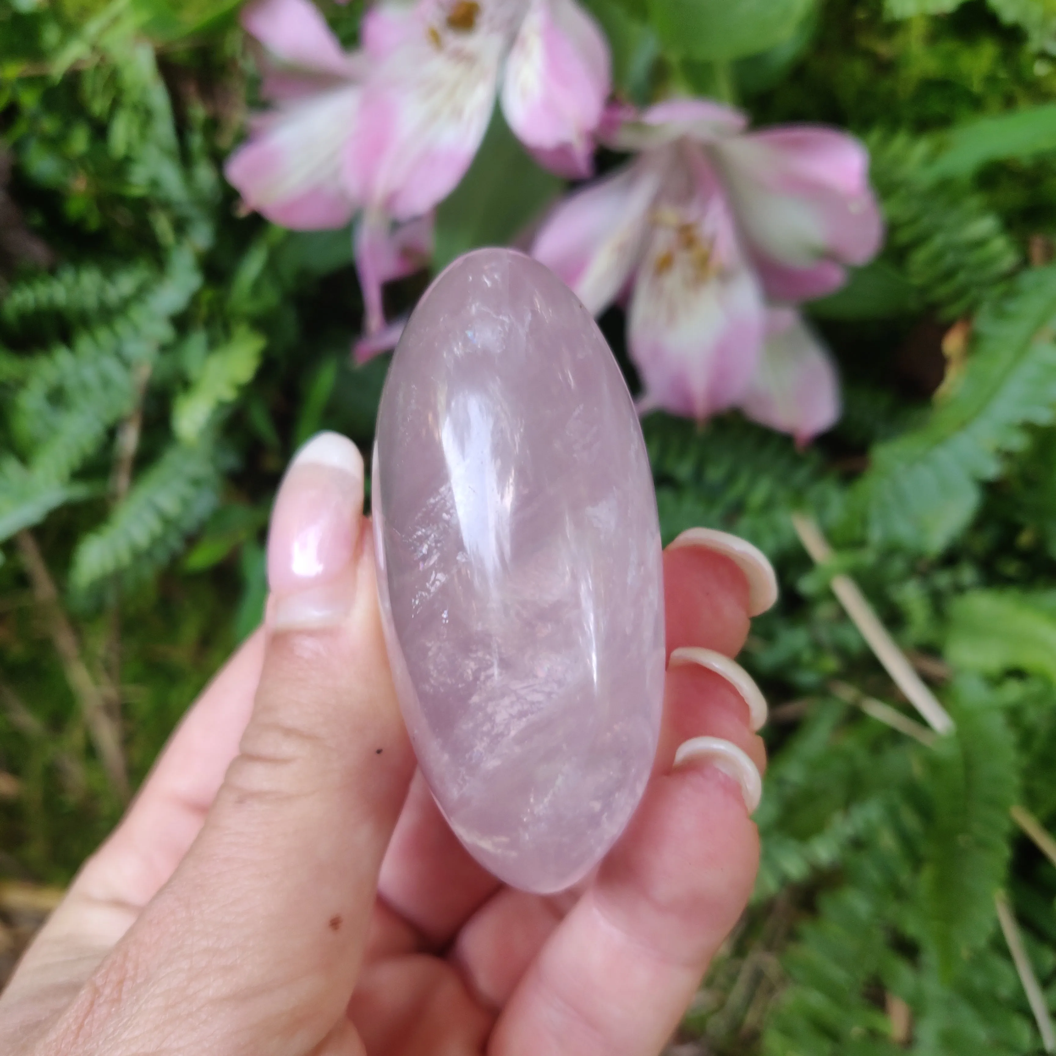 Rose Quartz Palm Stone, Star Rose Quartz (#3)