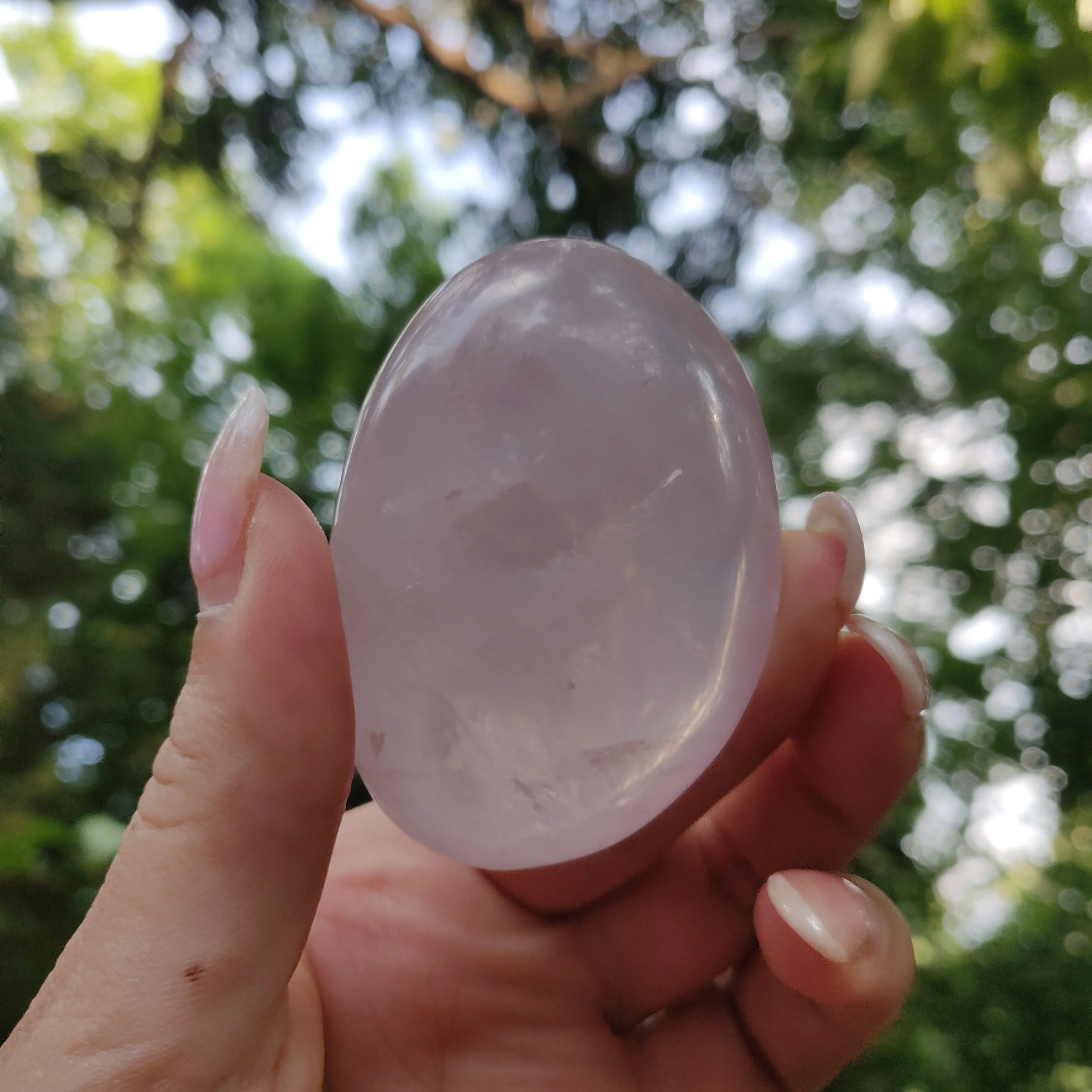 Rose Quartz Palm Stone, Star Rose Quartz (#3)
