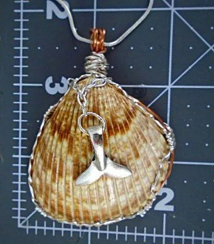 Sassy Handmade Cockle Seashell Pendant Necklace with Silver & Copper Wrap on Black Leather