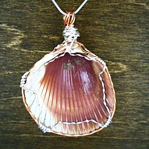 Sassy Handmade Cockle Seashell Pendant Necklace with Silver & Copper Wrap on Black Leather