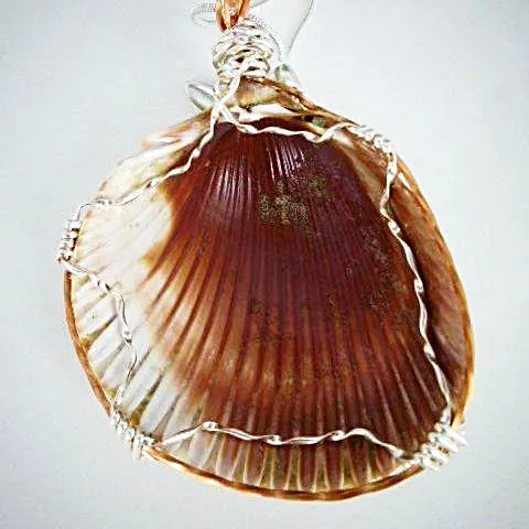 Sassy Handmade Cockle Seashell Pendant Necklace with Silver & Copper Wrap on Black Leather