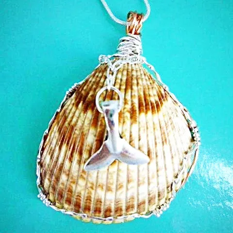 Sassy Handmade Cockle Seashell Pendant Necklace with Silver & Copper Wrap on Black Leather