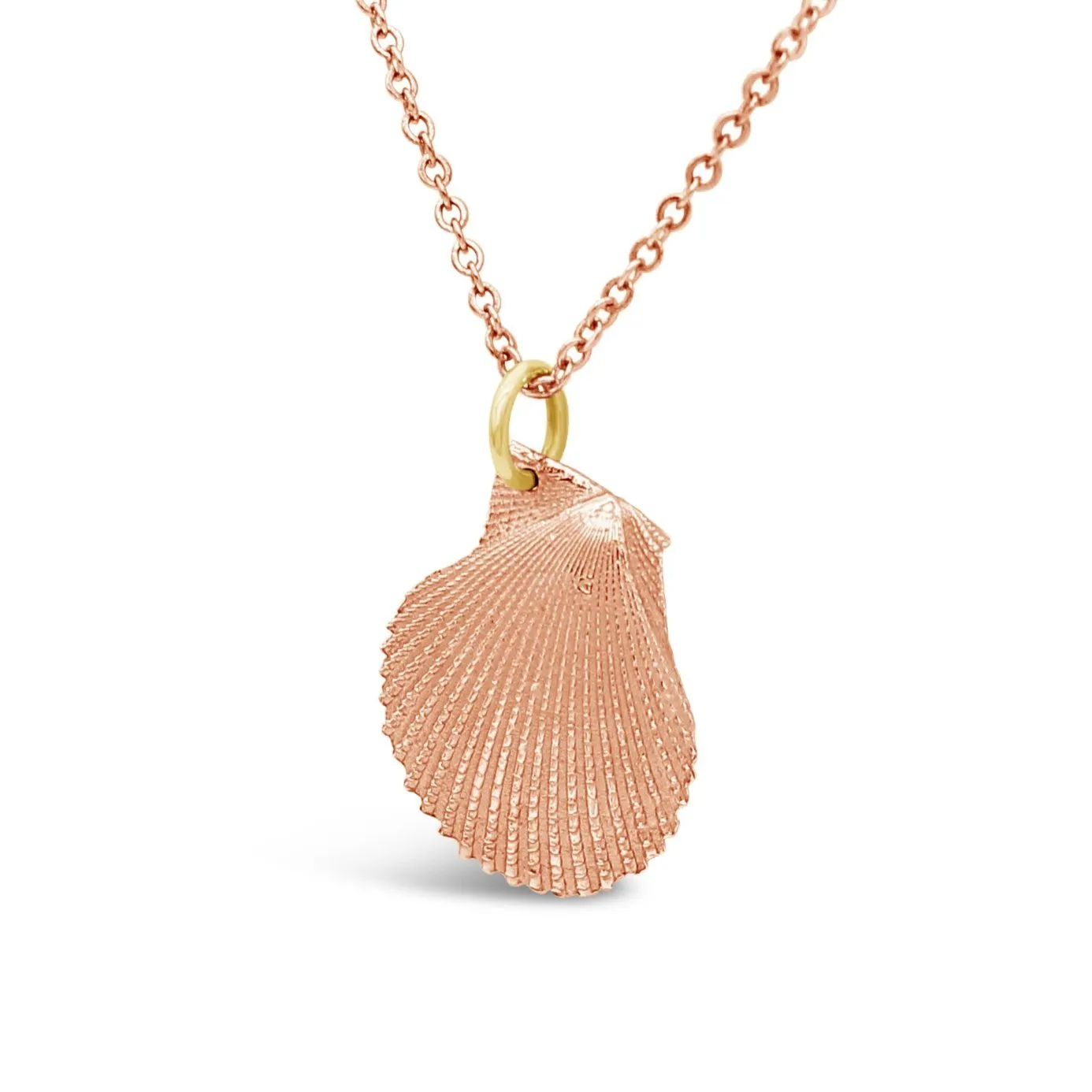 Scallop Pendant