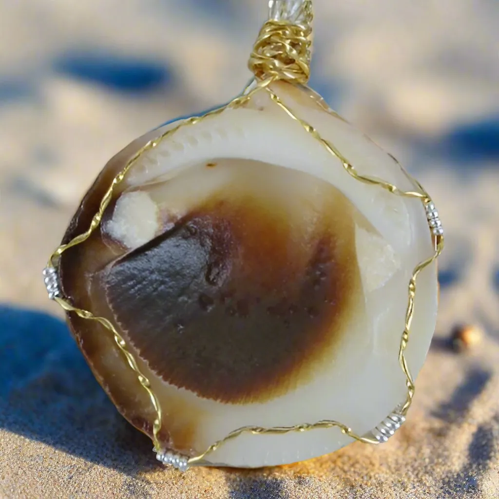 Seashell American Bittersweet Clam  Handmade Pendant-White/Brown Colored-Turquoise-Gold Seashell Charm-Wire Wrapped-Beach Boho