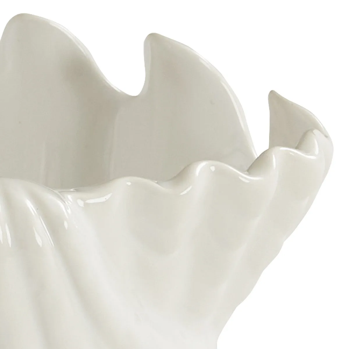 Seashell Cereal Bowl Set
