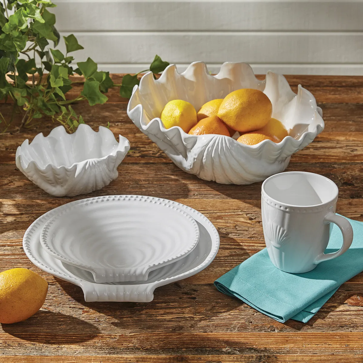 Seashell Cereal Bowl Set