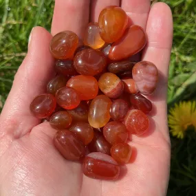 Small Carnelian Tumblestone